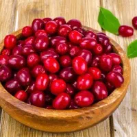 ذغال اخته جنگلی