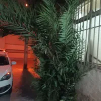 گل جزایرفناری