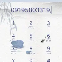 شماره ۹۱۹ رند