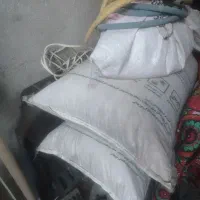 نخود پاییزه...