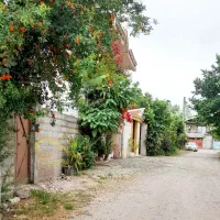 زمین مسکونی سند دار۲۴۸ متر(داخل شهرخشکبیجار)
