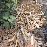 فروش چوب گردو برای زغال کبابی