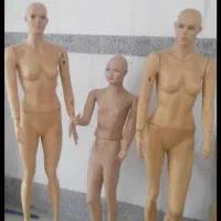 مانکن،اتاق پرو،میل رگال،آویز،دزدگیر سنسوردود وچشمی