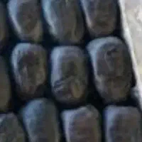 خرما دو ردیفی درجه یک میانگین ۸/۸۰۰