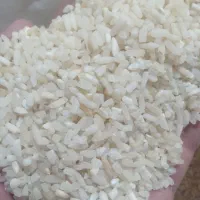 خرده درشت ۱۸۸..کامفیروز