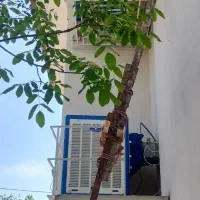 برقکار ساختمان با مدرک فنی حرفه ای.نصب کولر آبی و.