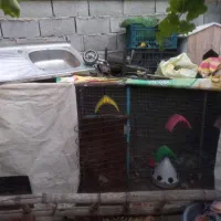 قفس بزرگ اهنی