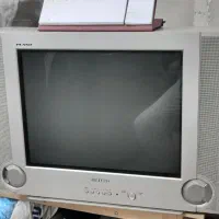 تلویزیون