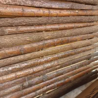 نیازمند سگ نگهبان رایگان