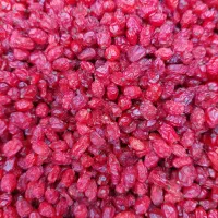 زرشک پفکی اناری عمده