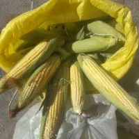 بلال نیشابوری خب درجه یک