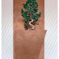 نقاش نقاشی پتینه میکروسمنت