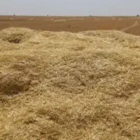 فروش کاه کمپاین