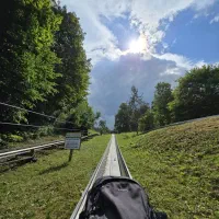 دعوت به کاربهیارخانم