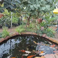 اجرای فضای سبز و باغبانی با نظارت مهندس