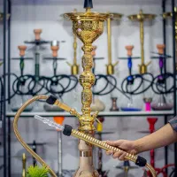همکاری و مشارکت