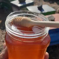 فروش عسل طبیعی و محصولات زنبور دهکده