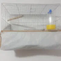 قفس.قناری.پرنده.مرغ عشق.فنچ