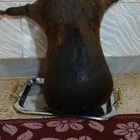 هیزه