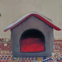 جای خواب سگ و گربه