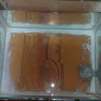 اکواریوم