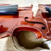 ویالون، سالم تضمینی