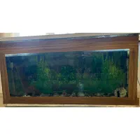 آکواریوم بسیار محکم