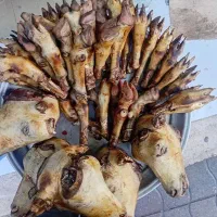 کله پاچه، سیرابی ،همبرگر دستی، جغور بغور گوسفندی