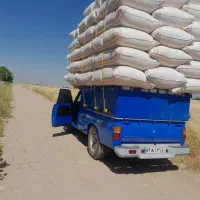 کاه گندم دیم