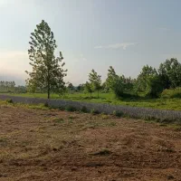 250متر زمین مسکونی چماچا سقالکسار