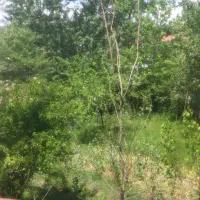 زمین مسکونی 370 متردر اسالم سراه خلخال کوچه عبادتی