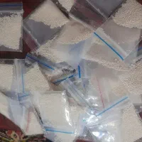 پودرشپش