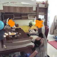 تخت دو طبقه کودک