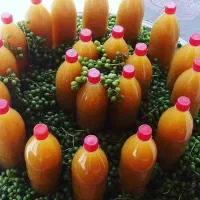 آبغوره ارگانیک و تازه