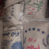 عرضه مستقیم برنج محلی فجر و چمپا 2.برنج عنبر بو