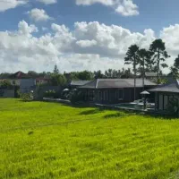 کار در منزل نظافت درخت کاری ماساژور،خرید