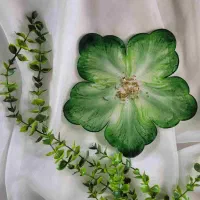 سرویس بشقاب میوه خوری و‌ آجیل خوری
