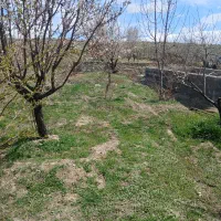 باغ فروشی