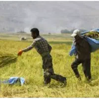 خوزستان نیاز به کارگر ااتباع باخانوار