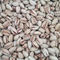 پسته درجه یک اکبری خندان