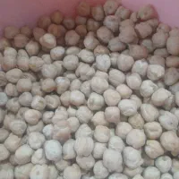 نخود کرمانشاه