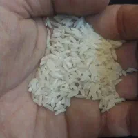 برنج سوزنی درجه یک