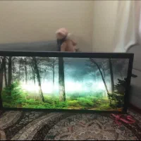 تابلو روشنی