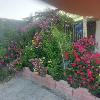 باغشهری-هزار-متری-فدک-الزهرا