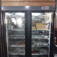 فریزر ایستاده ۲ در