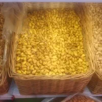 استخدام یک نفرخانوم
