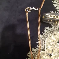 قلاده سگ برند لویال داگز