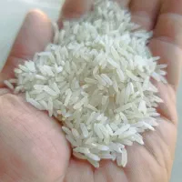 عرضه برنج و حبوبات به قیمت عمده