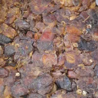 خرما عصاره گیری