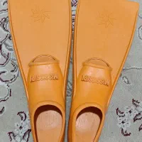 فین شنا